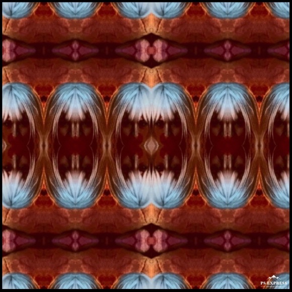 Closet Savant - Picture 4 of 11